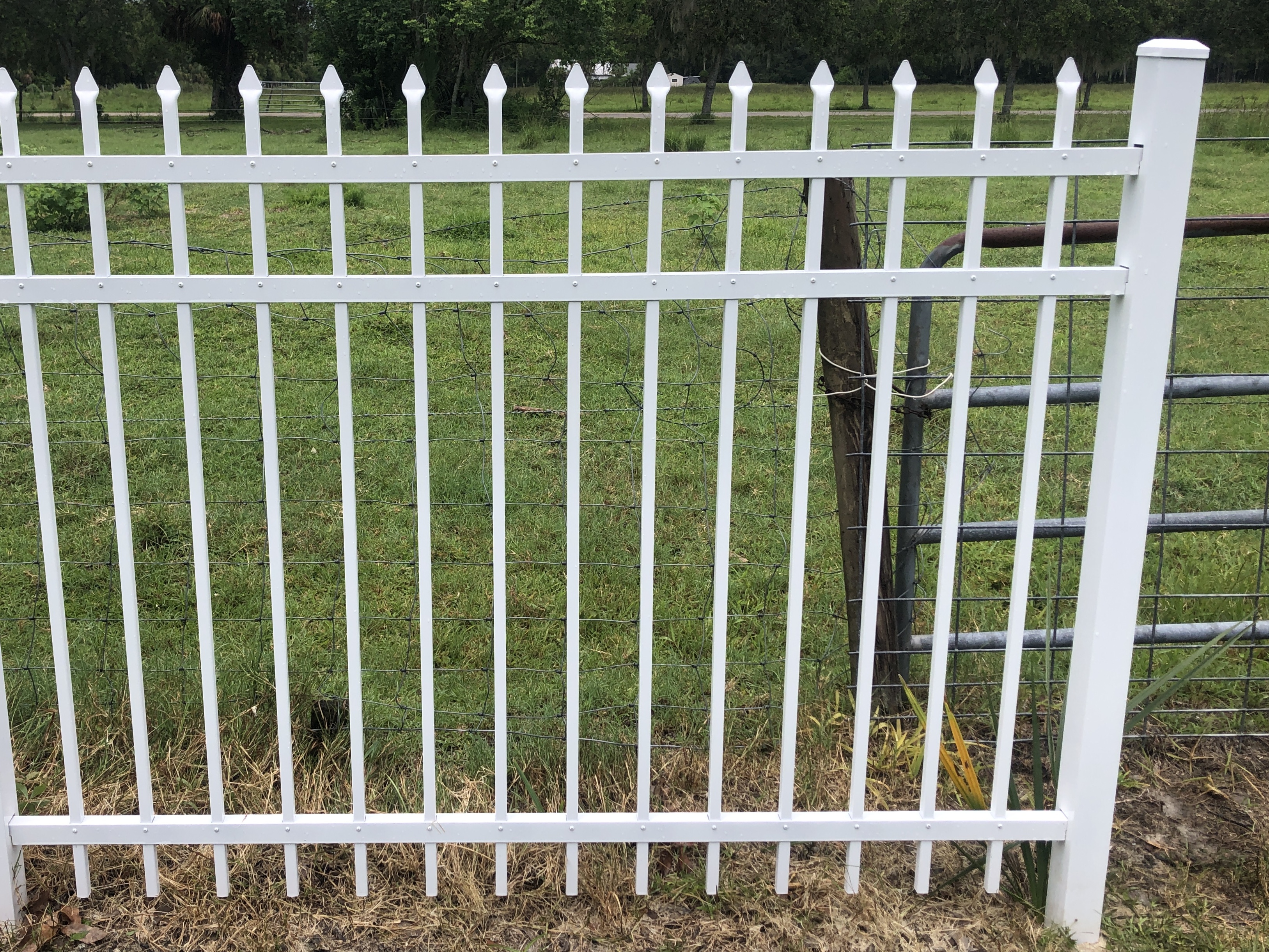  Transforming a White Metal Fence from Algea Coated to Shiny and Crisp Clean: A Pressure Washing, Soft Washing Success in New Smyrna Beach Florida